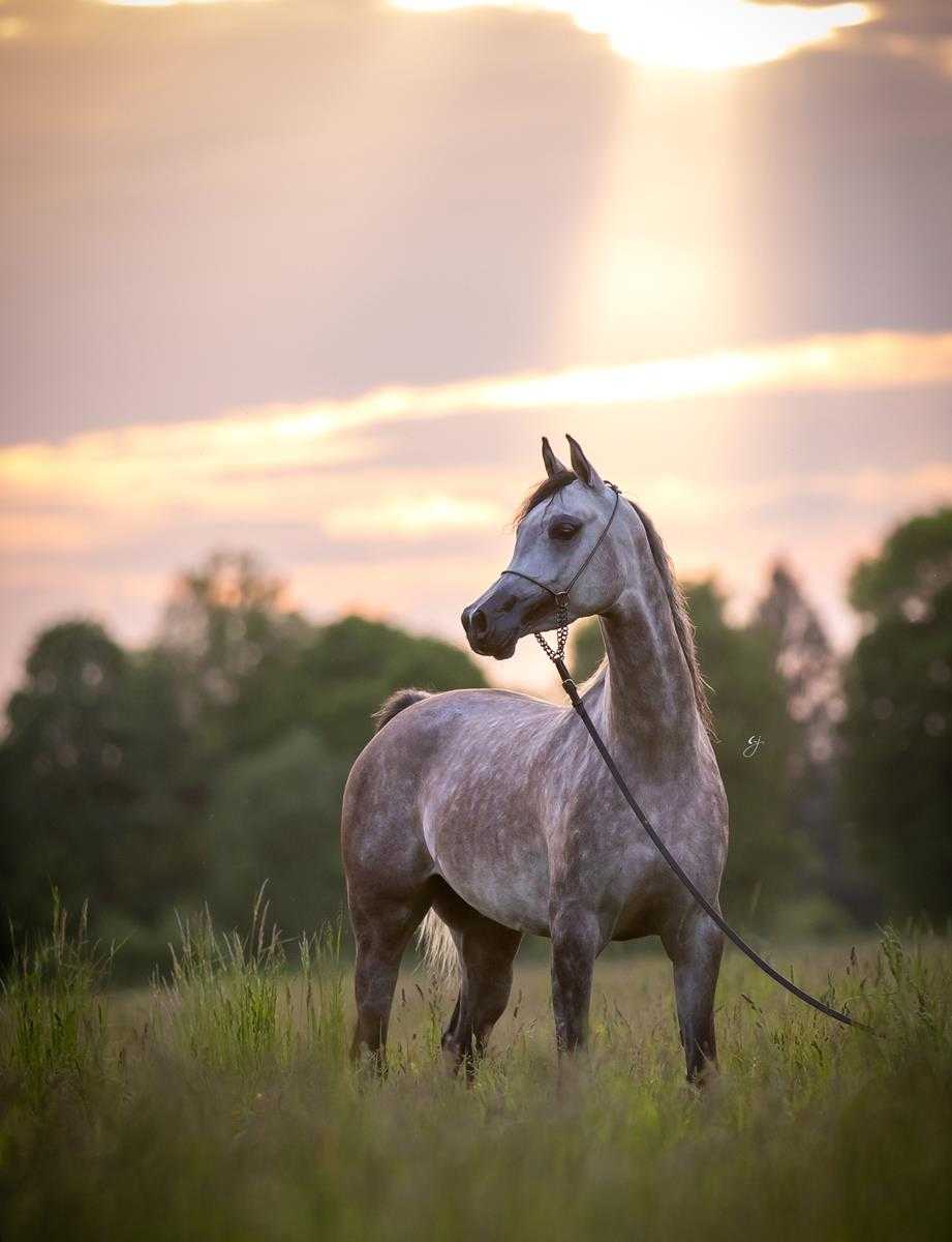 PAQUITA — Mare · 8y